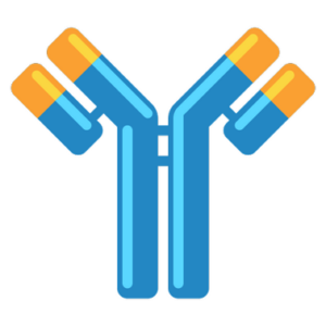 Antibody Products